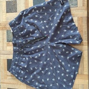 Quicksilver Swim Shorts